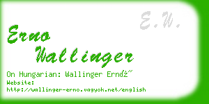 erno wallinger business card